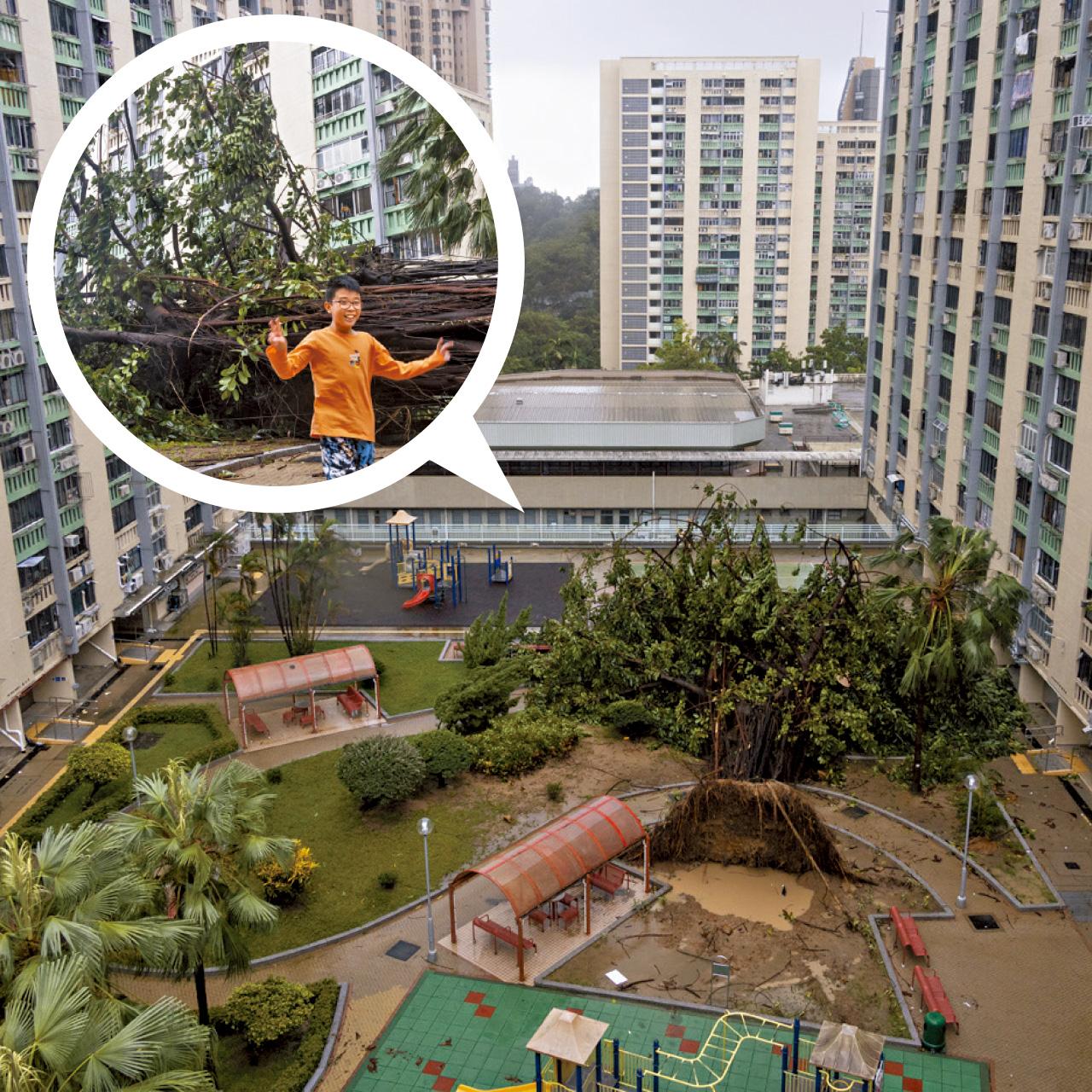 颱風樺加沙 愛民邨