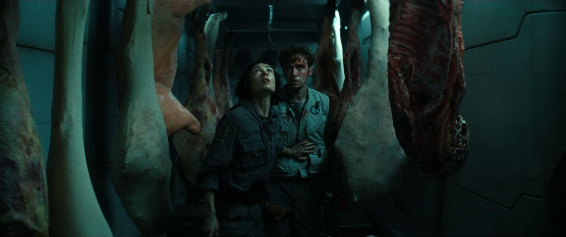 《異形:地球》在爛番茄好評高達95%好評。