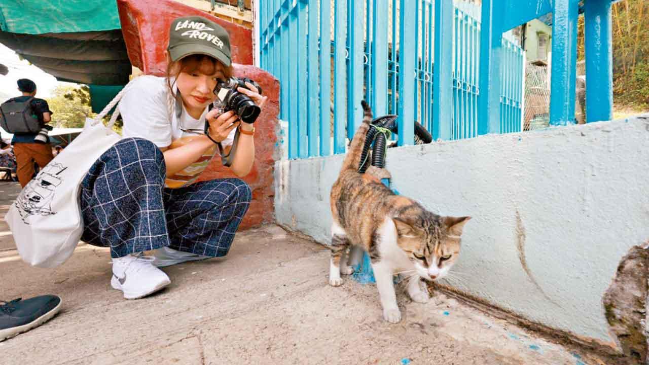 東薈城名店倉CLUB CG五周年慶 聯乘港台插畫家推獨家DIY搭飾