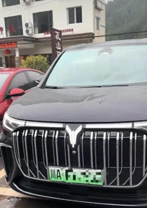 四川瓦屋山遊客,有遊客泊車費高達2147萬元人民幣,引發網友嘩然。(大風新聞)