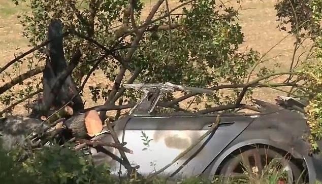 Tesla撞樹起火車門打不開 司機與2兒童葬身火海