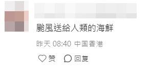 有網民笑稱這是「颱風送給人類的海鮮」。(小紅書截圖)