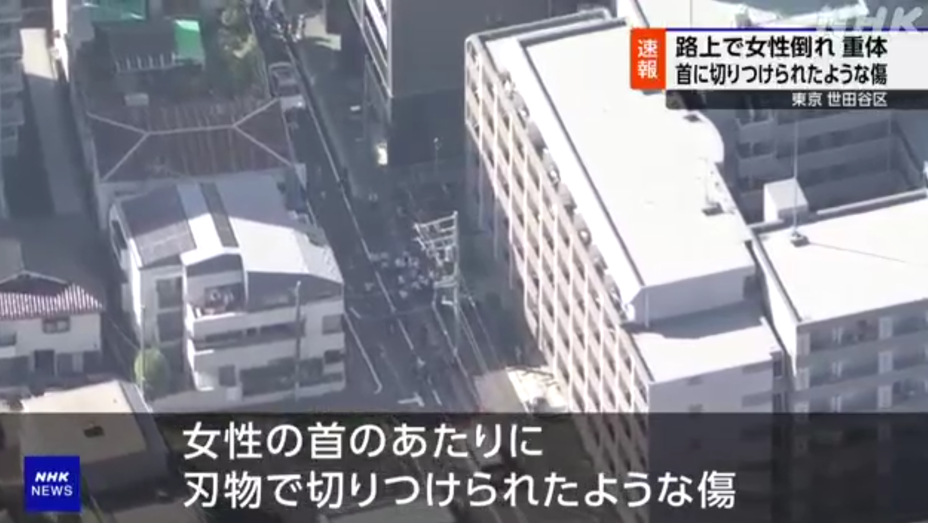 南韓女子東京街頭遭割頸身亡 兇徒逃去