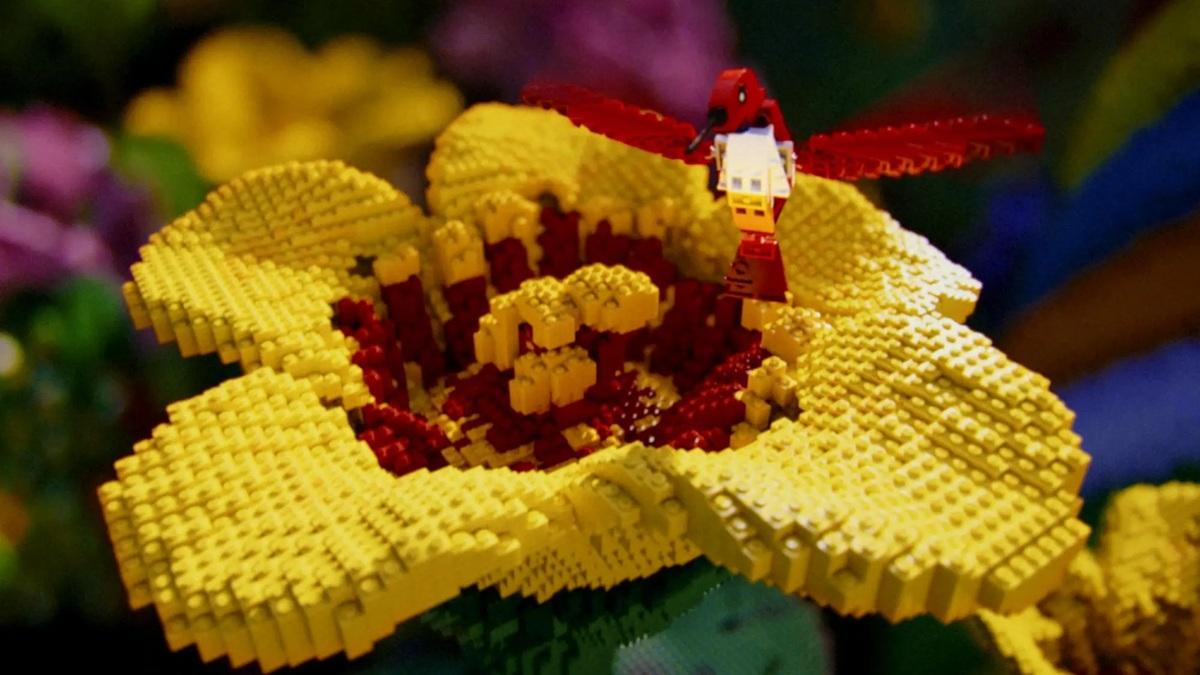 充滿「蜘蛛俠」色彩的蜂鳥正在採蜜。