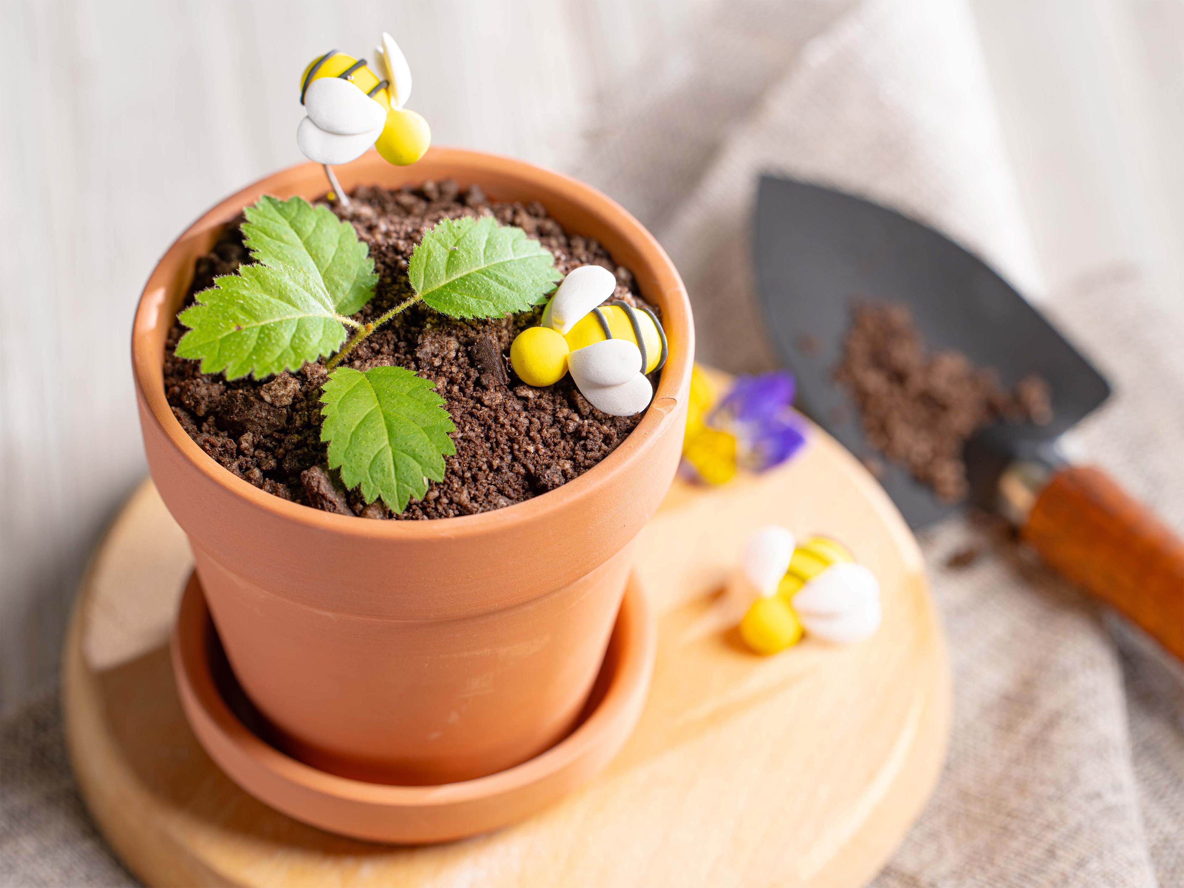 小盆栽甜品工房