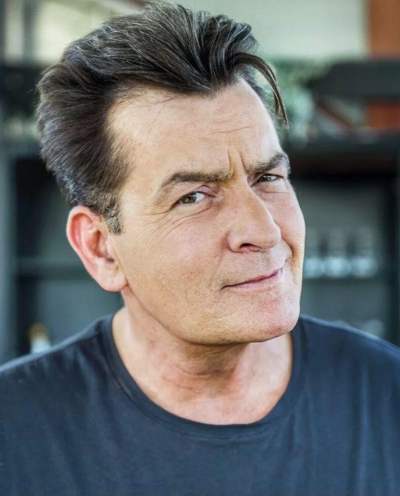 查理辛近日推出自傳《The Book of Sheen),以及拍攝紀錄片,講述自己沉淪的日子。