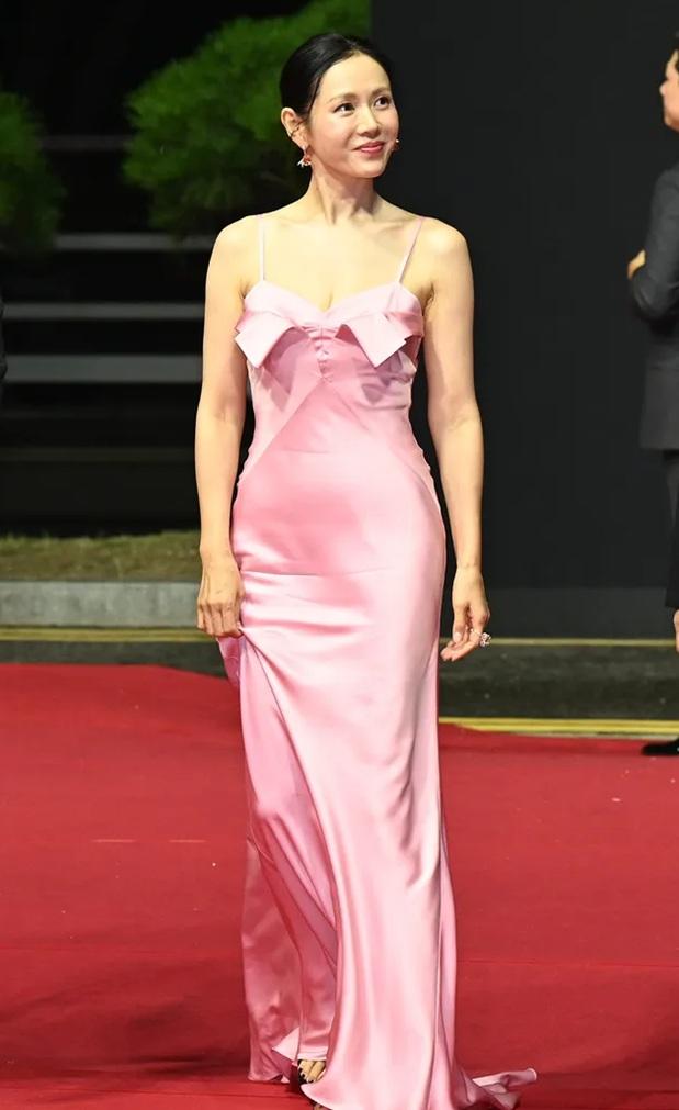 釜山電影節|梁家輝任評審 Lisa透視裙搶風頭。