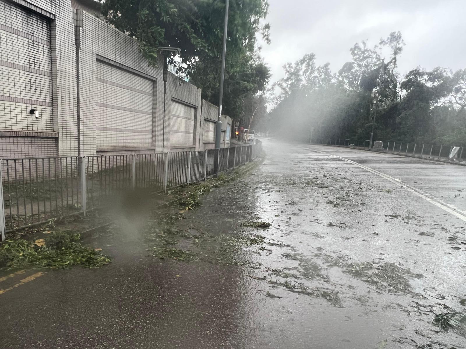 大埔年華路。(下水水FB圖片)