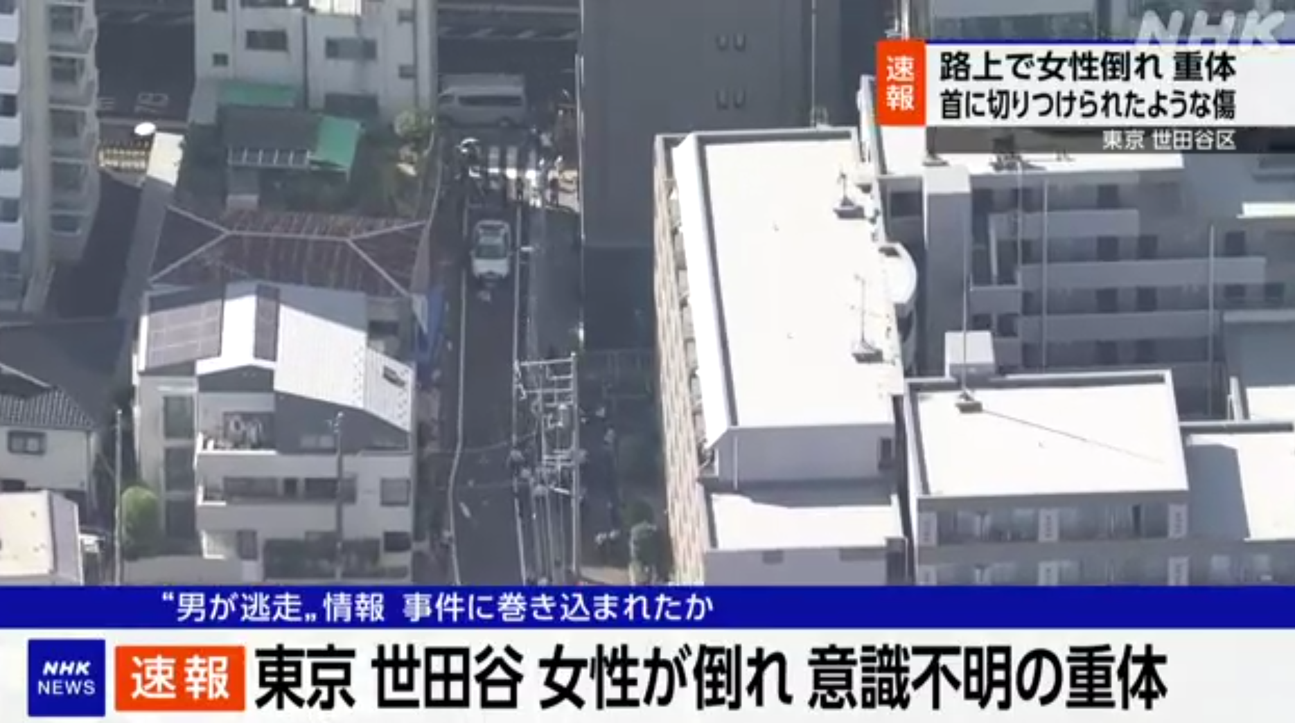 南韓女子東京街頭遭割頸身亡 兇徒逃去