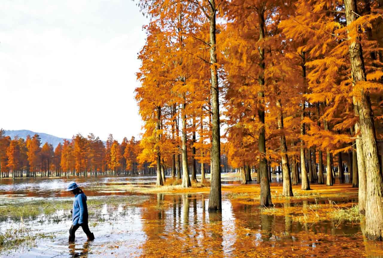 撈魚河濕地公園