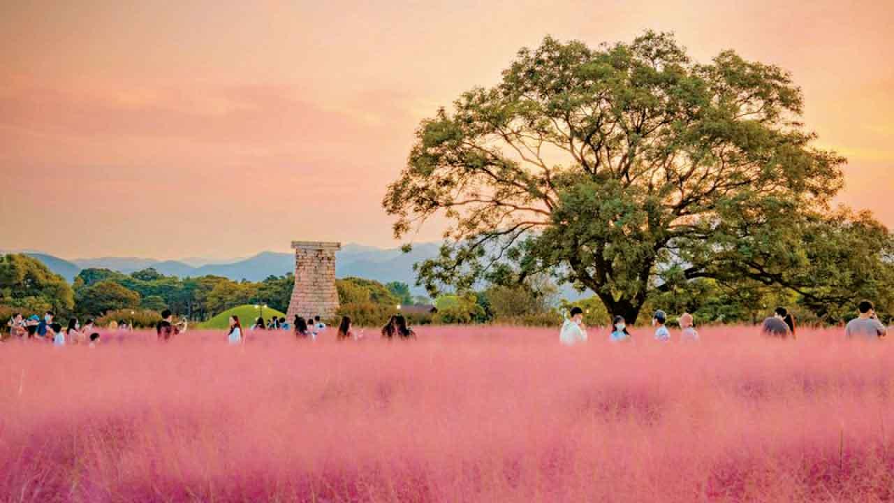 秋高氣爽!中秋釜山直航團 體驗韓劇同款「汗蒸幕」