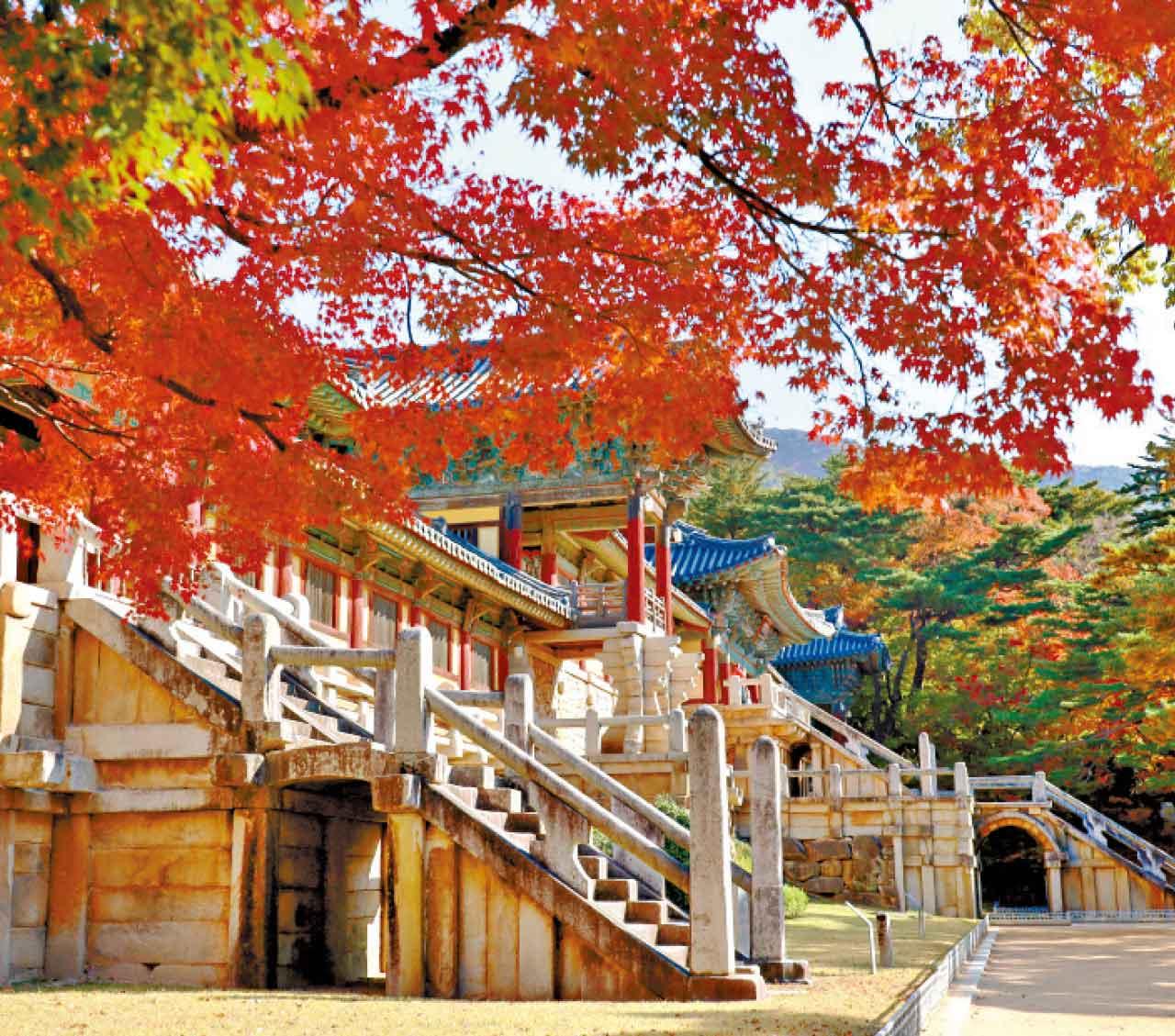 秋高氣爽!中秋釜山直航團 體驗韓劇同款「汗蒸幕」