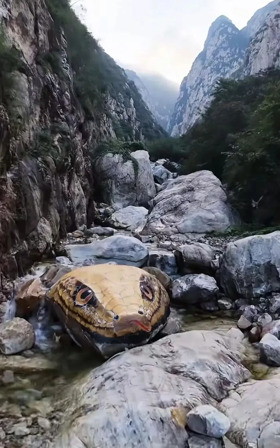 「蛇頭巨石」曝光後,遊客看法兩極。