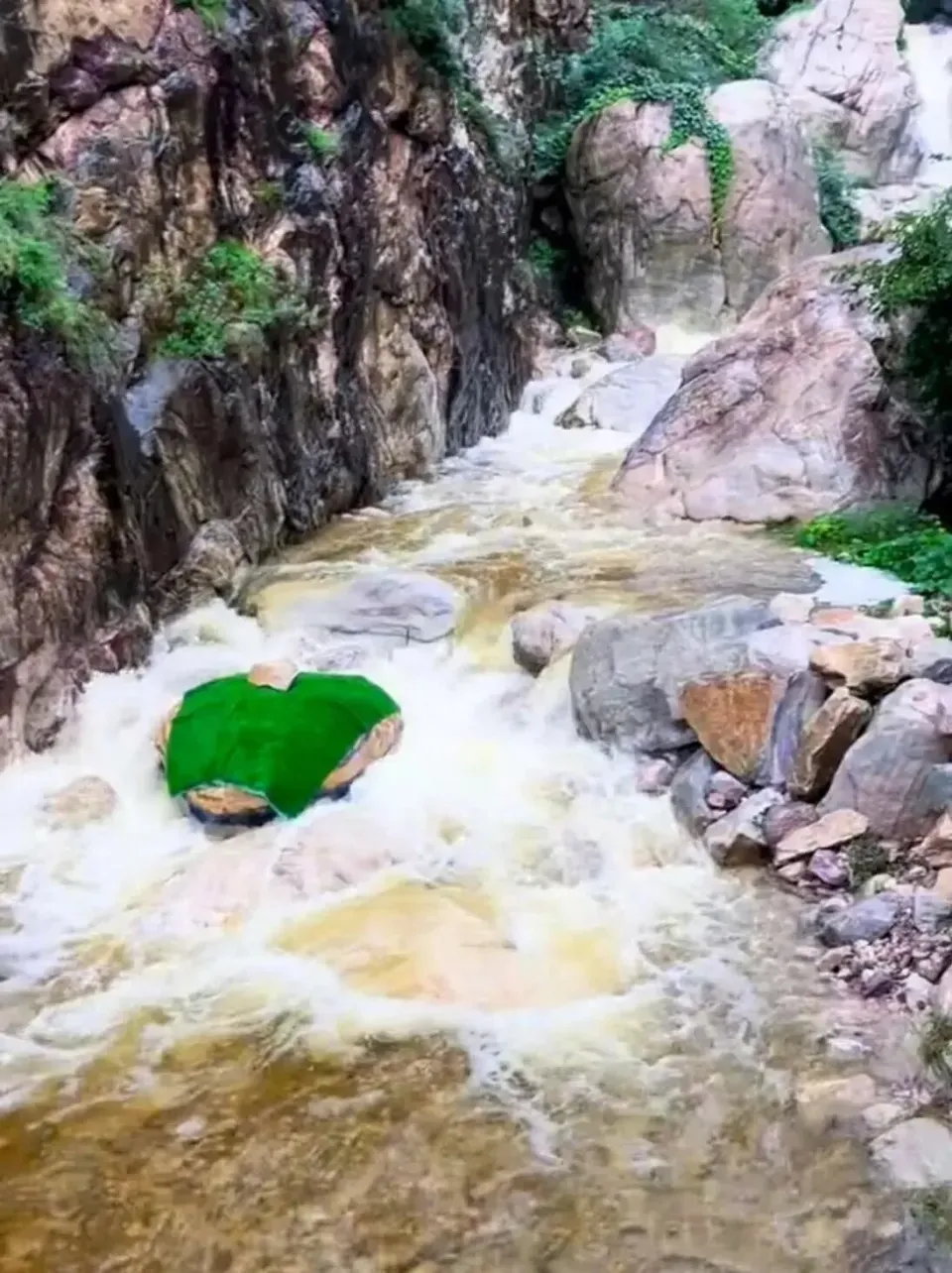 收到投訴後,景區無奈把「驚悚蛇頭」用一整片綠色物體覆蓋住。
