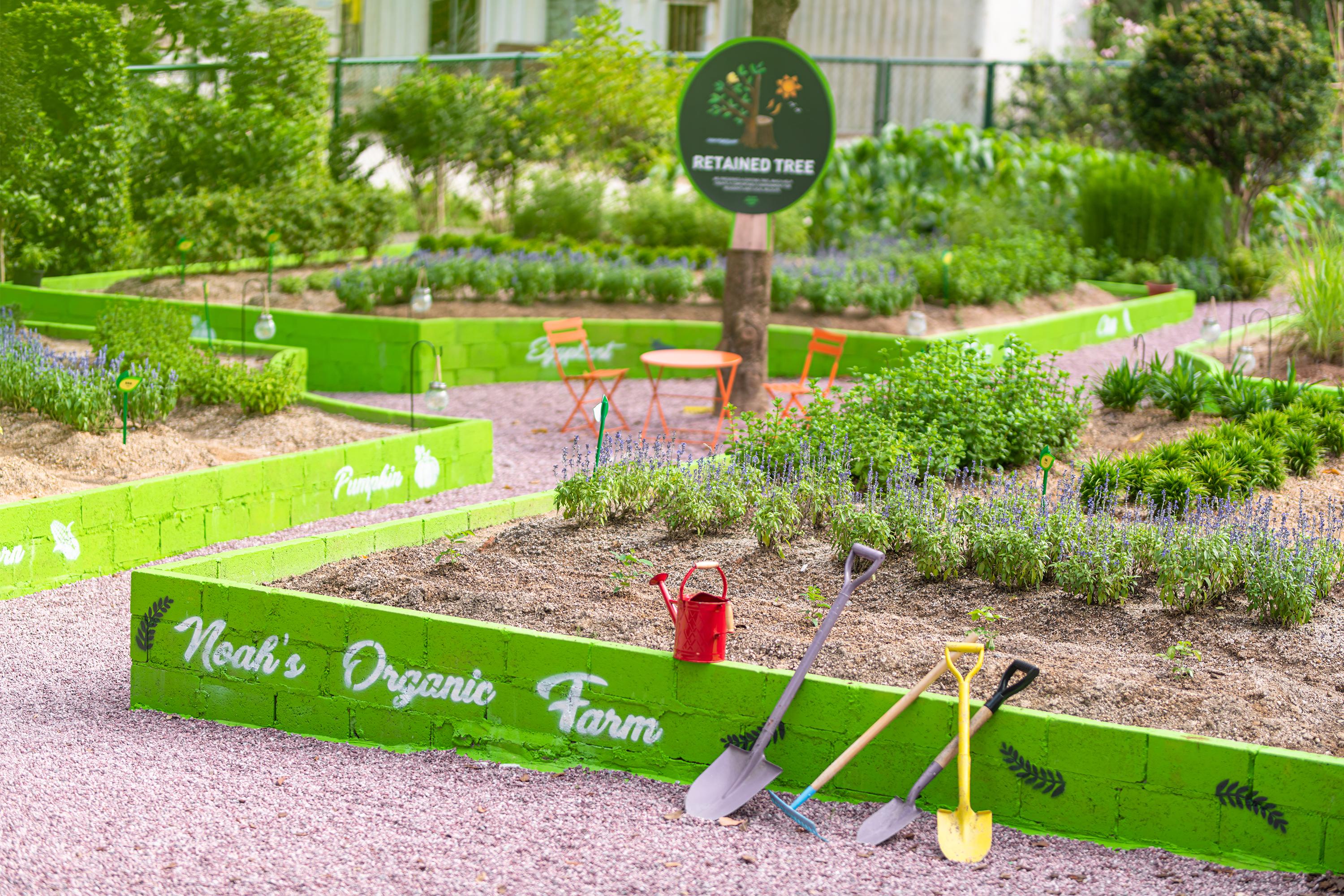 漫遊挪亞有機農莊