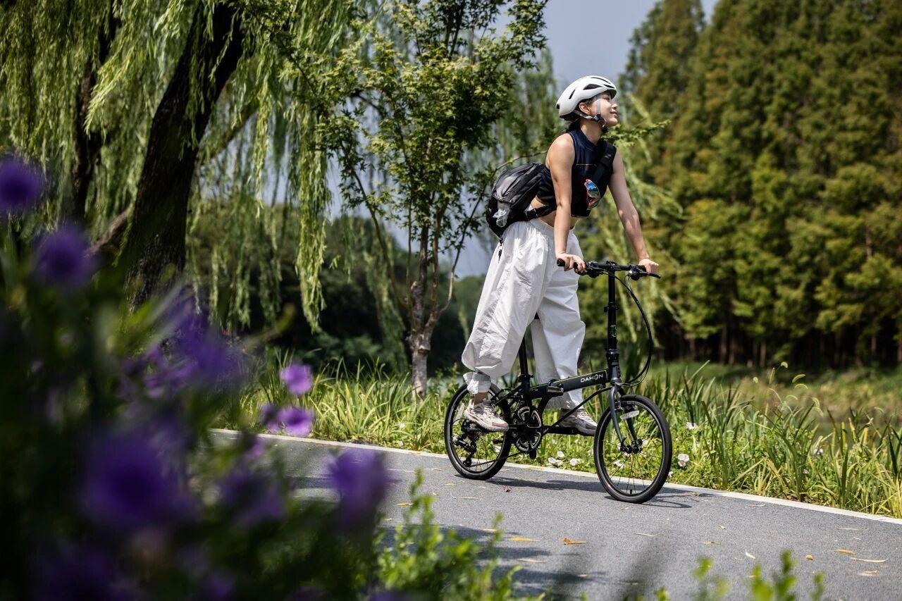 生產摺疊單車Dahon大行科工公開發售反應熱烈。(大行科工網圖)