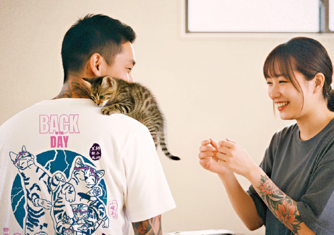 青衣城 Ohyoumademyday