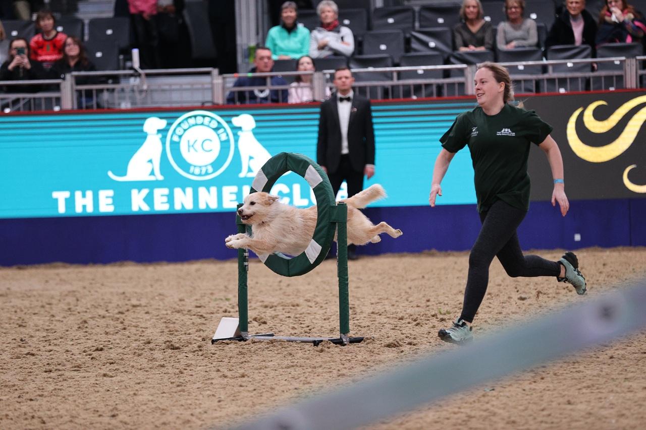 盛典將首次引入節奏明快且極具觀賞性的狗狗障礙挑戰賽。