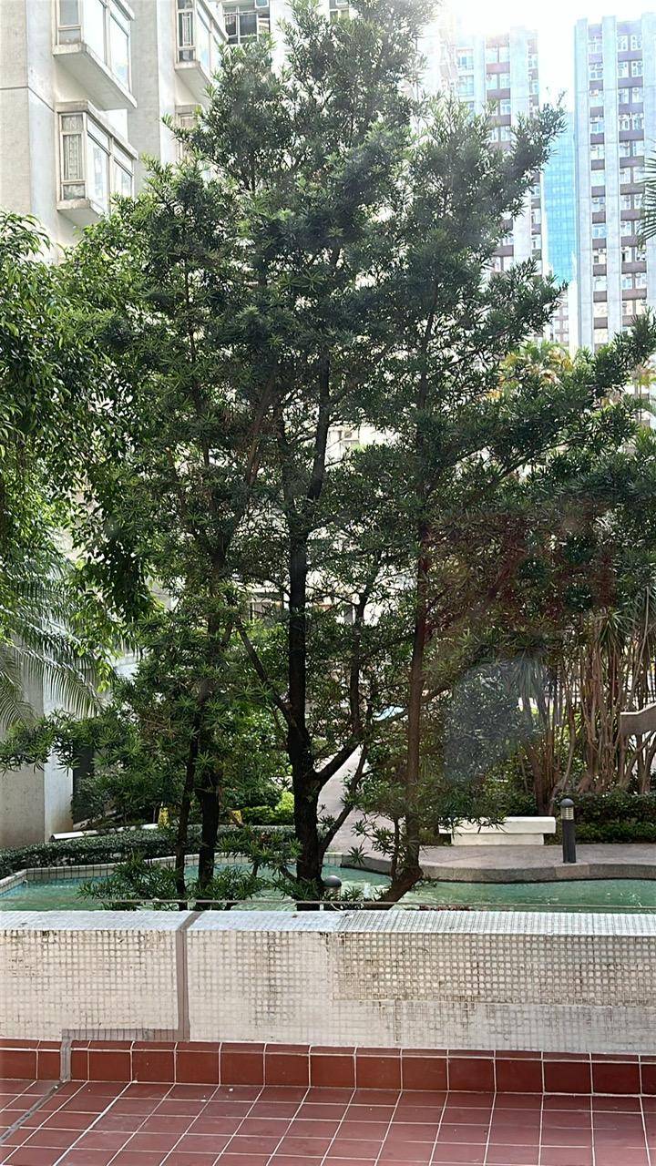 太古城兩房企裝蝕讓盤,雖低層戶,但望園景十分清靜。(代理提供)