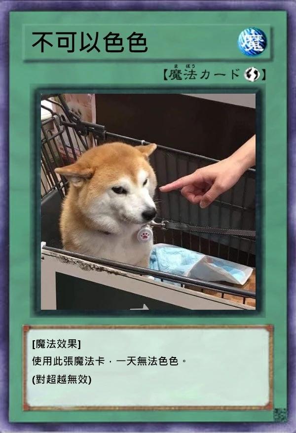 Ponsan因為「不可以色色」的Meme圖爆紅。 (Dcard)