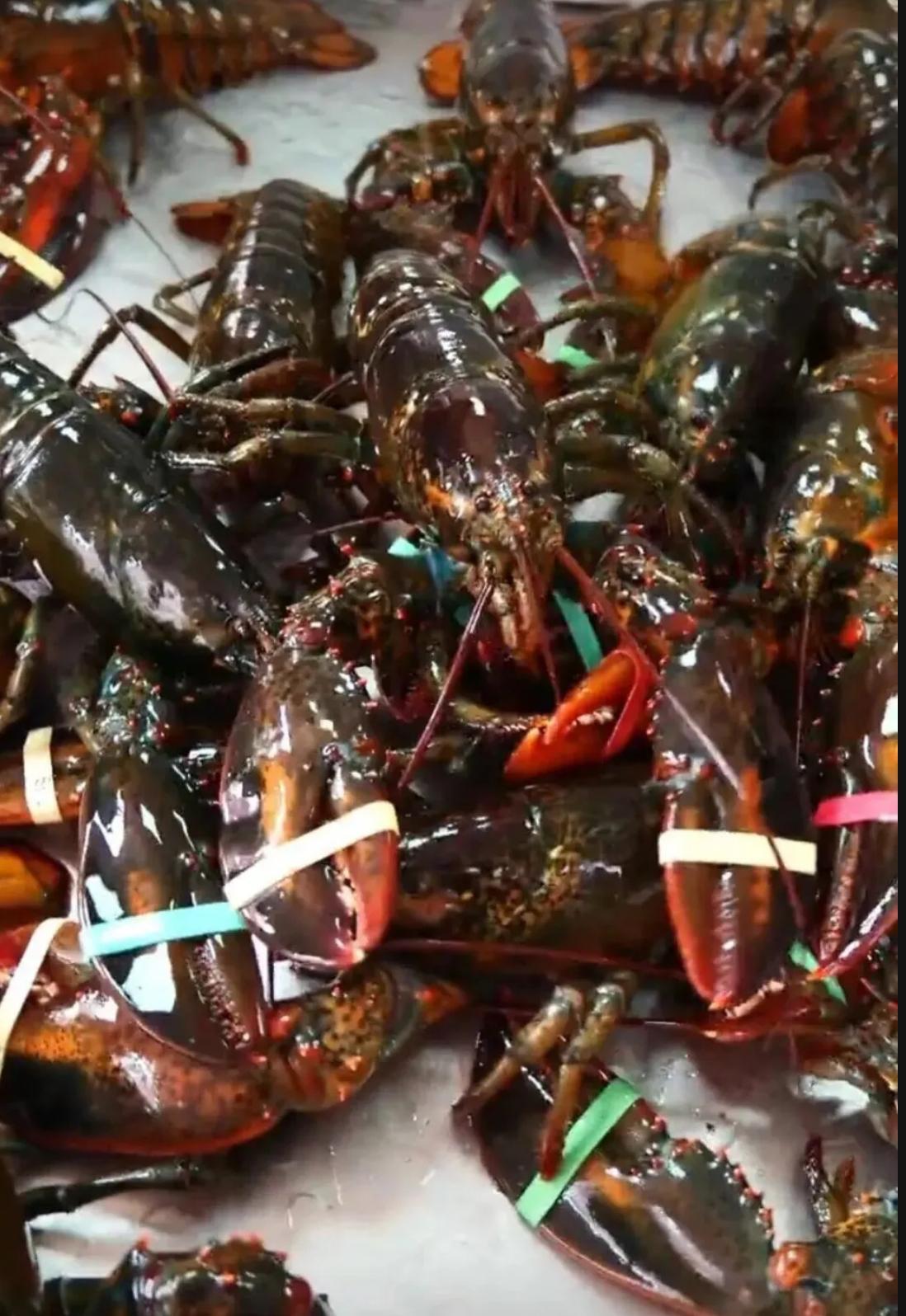 圖片來源:抖音影片