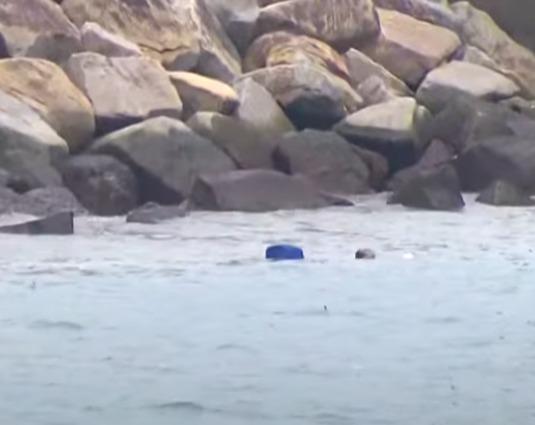 柴灣嘉業街一家三口墮海被救起。(TVBS 直播畫面)