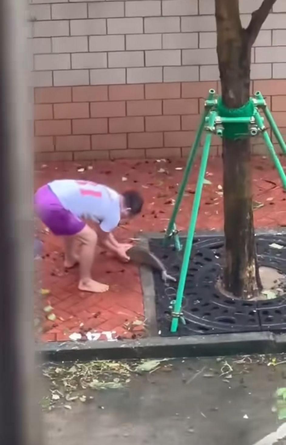 澳門不同地方出現活魚,吸引街坊落場捉魚。(susie_leong@Threads)