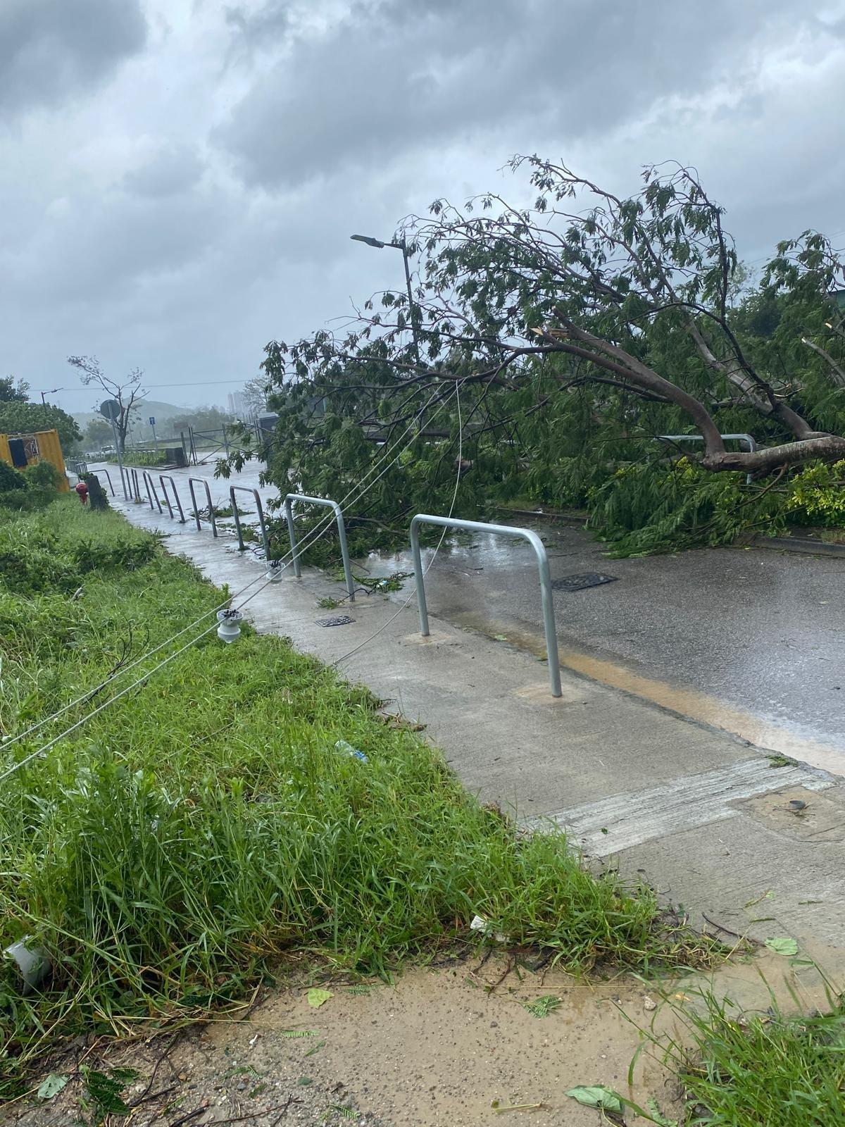 颱風樺加沙|中電:1,350客戶電力供應受影響 爭取午夜前恢復大部分供電 (中電提供)