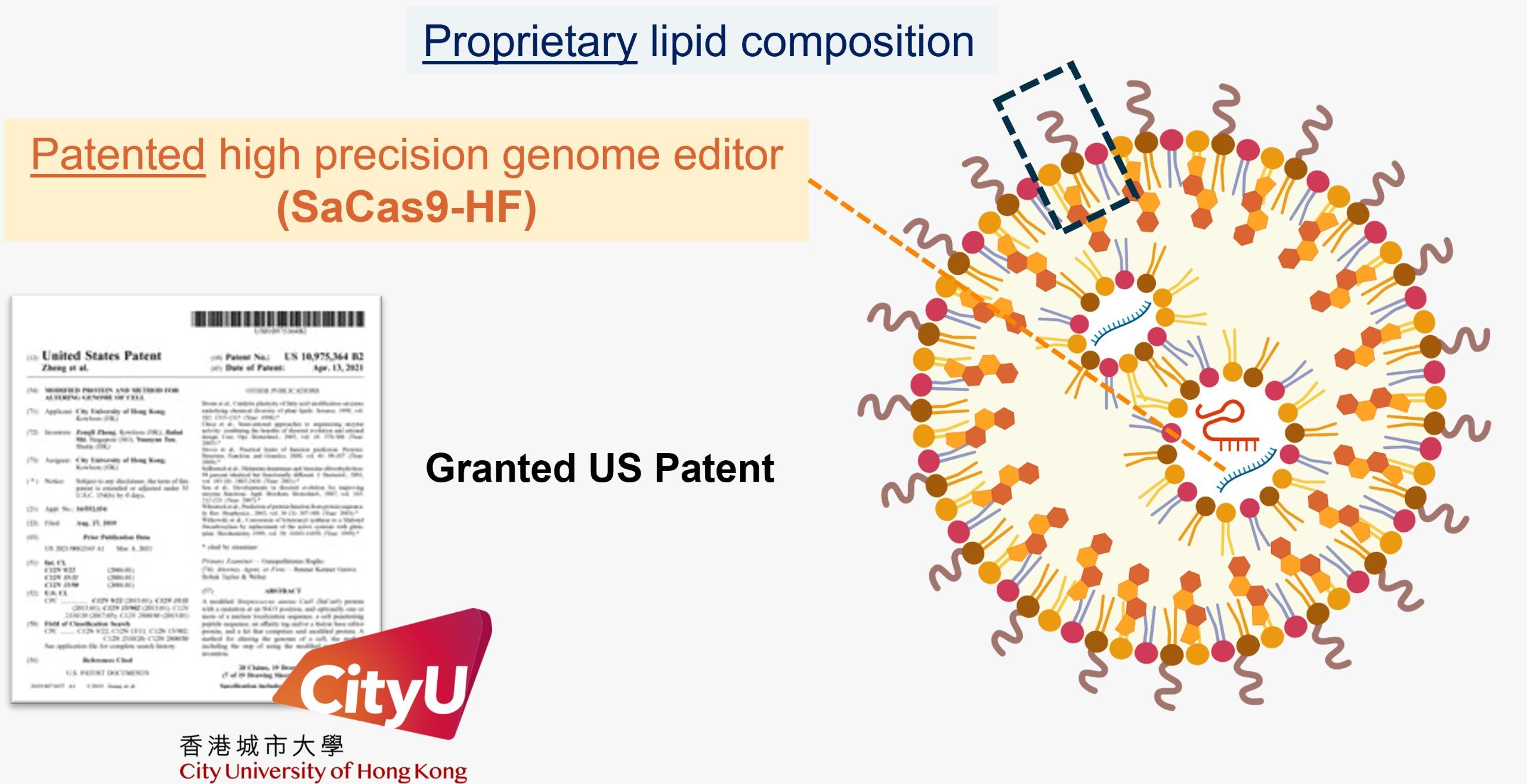 團隊開發獲專利的基因組編輯技術。(圖片來源:香港城市大學)