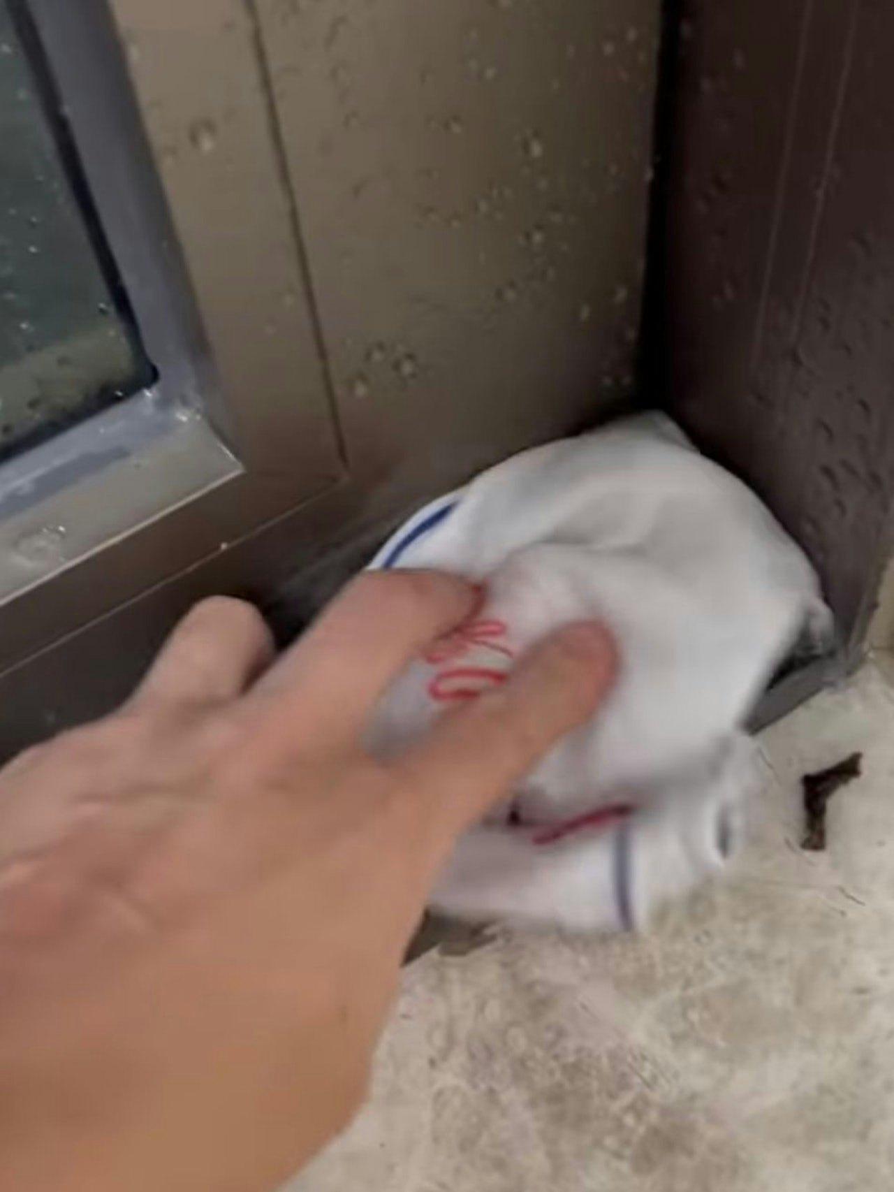 陳家樂兩年前曾經在社交網分享過兩年前在超強颱風「蘇拉」侵襲下慘變室內噴水池。