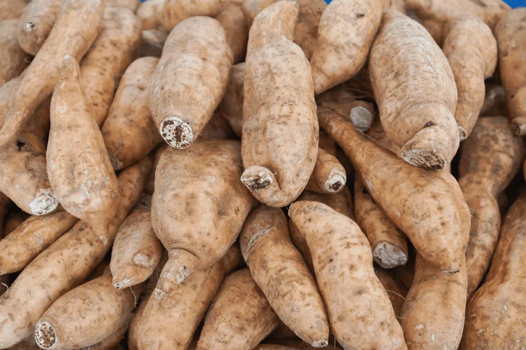 入秋清暑與潤燥湯水