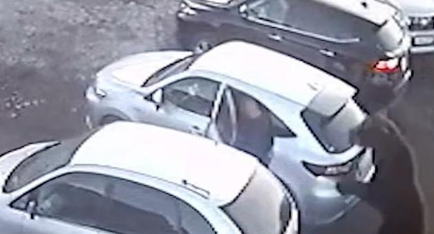 棕熊在停車場窮追男子,男子及時逃上車並關門,才逃過棕熊襲擊。(互聯網)