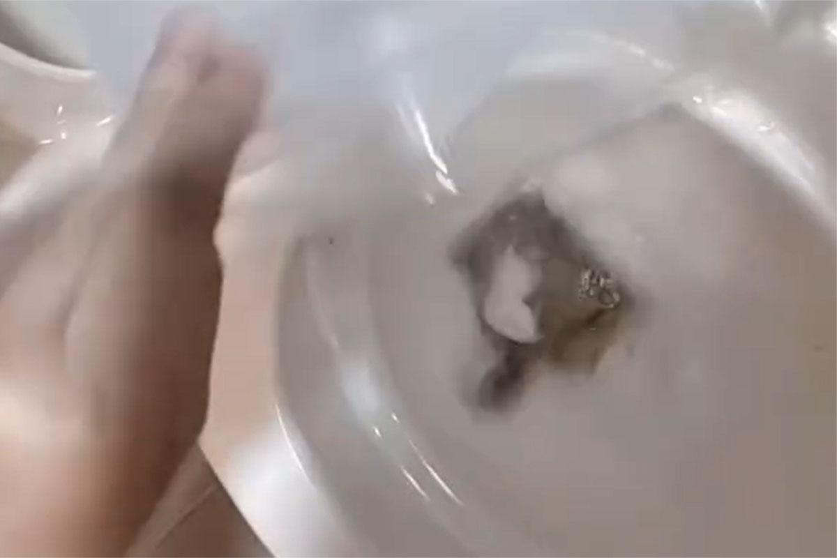 一名女子把倉鼠倒進馬桶沖走,事後獲警方確認為一名失去聯絡多時的外勞。(網上影片截圖)