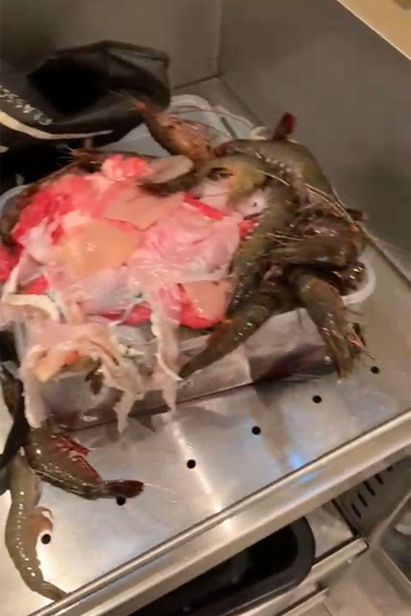 有食客在任食火鍋店疑帶走食材,可見包括肥牛、生猛鮮蝦等。(網上片段截圖)