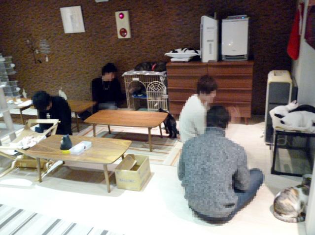 貓咖啡廳「かごにゃん」內部陳設 。(互聯網)