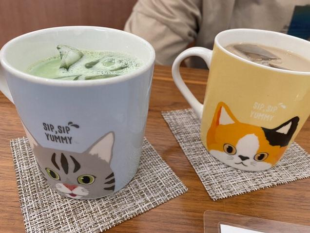 貓咖啡廳「かごにゃん」提供的餐點 。(互聯網)