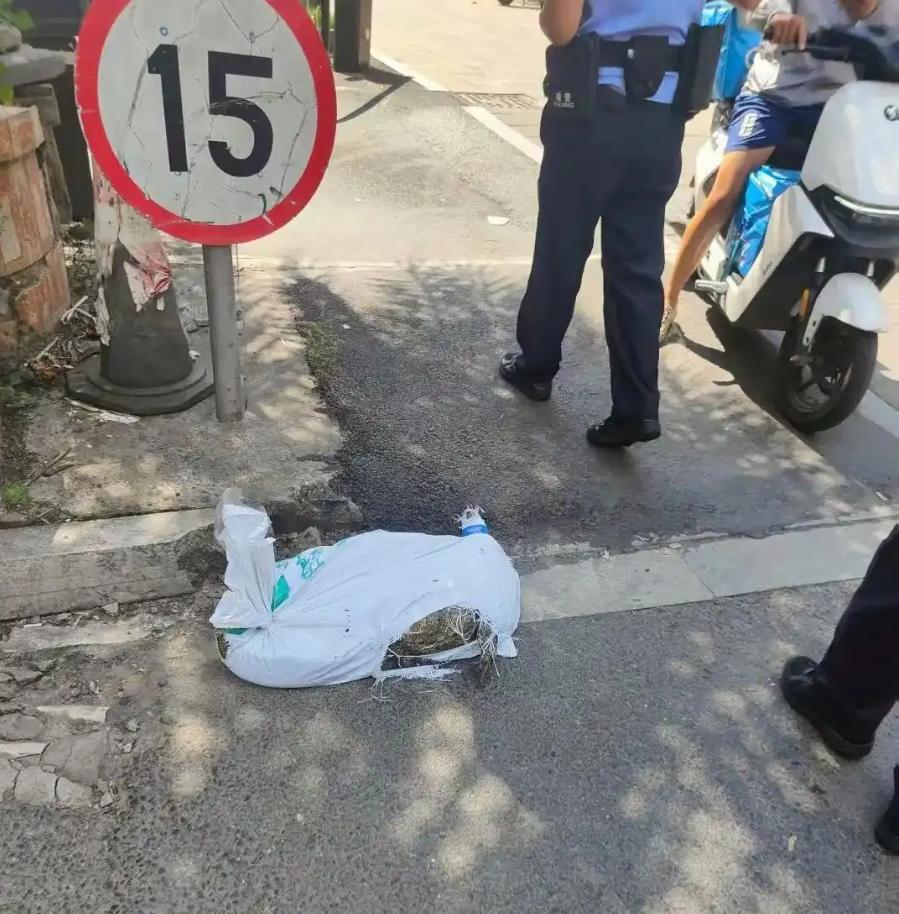 涉事鱷魚批發部老闆回應稱,自己從未說過鱷魚是死的。(網上圖片)