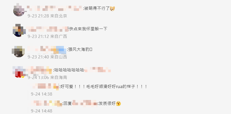 網友熱烈討論。(新浪微博)