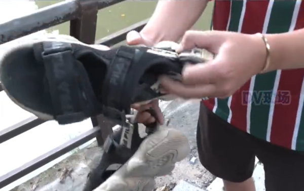 外送員的鞋子被鱷魚咬爛。(網上圖片)
