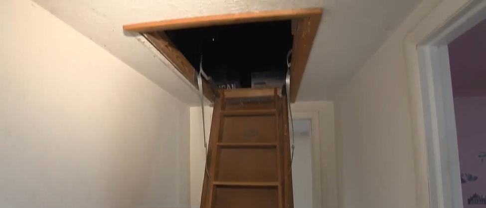 屋內情況。(互聯網)