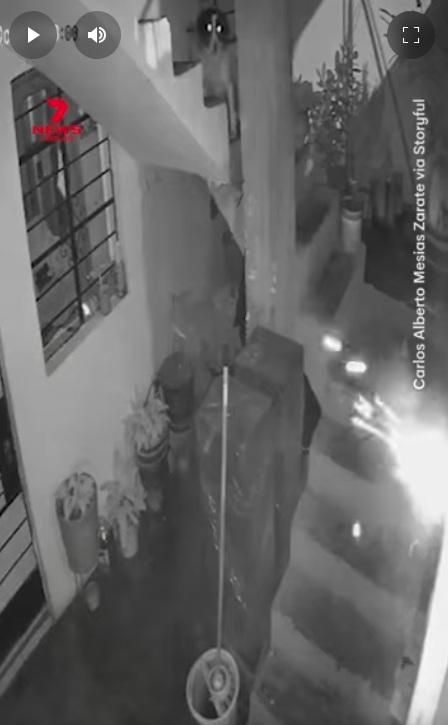 狗狗在樓梯頂看到男子往屋裡掟著火的爆炸品。(互聯網)