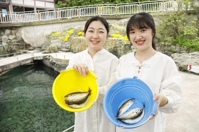 日本神奈川縣城崎島的一處釣魚場。(互聯網)