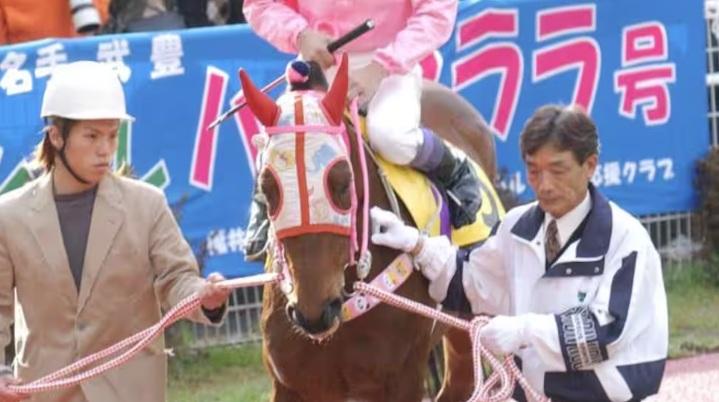 日本傳奇賽馬「春麗」被封「失敗之星」,出戰113場不曾獲勝,其奮鬥精神激勵了不少日本民眾。(互聯網)