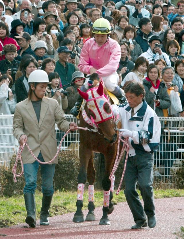 日本傳奇賽馬「春麗」被封「失敗之星」,出戰113場不曾獲勝,其奮鬥精神激勵了不少日本民眾。(互聯網)