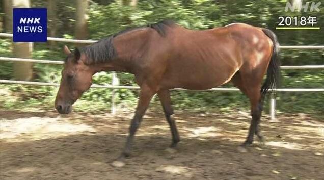 「春麗」2018年已退役。(互聯網)