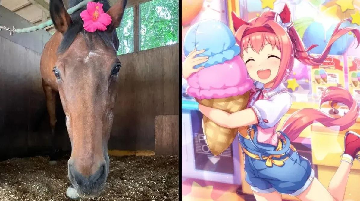 日本傳奇賽馬春麗,取名來自人氣動漫角色「春麗」。(互聯網)