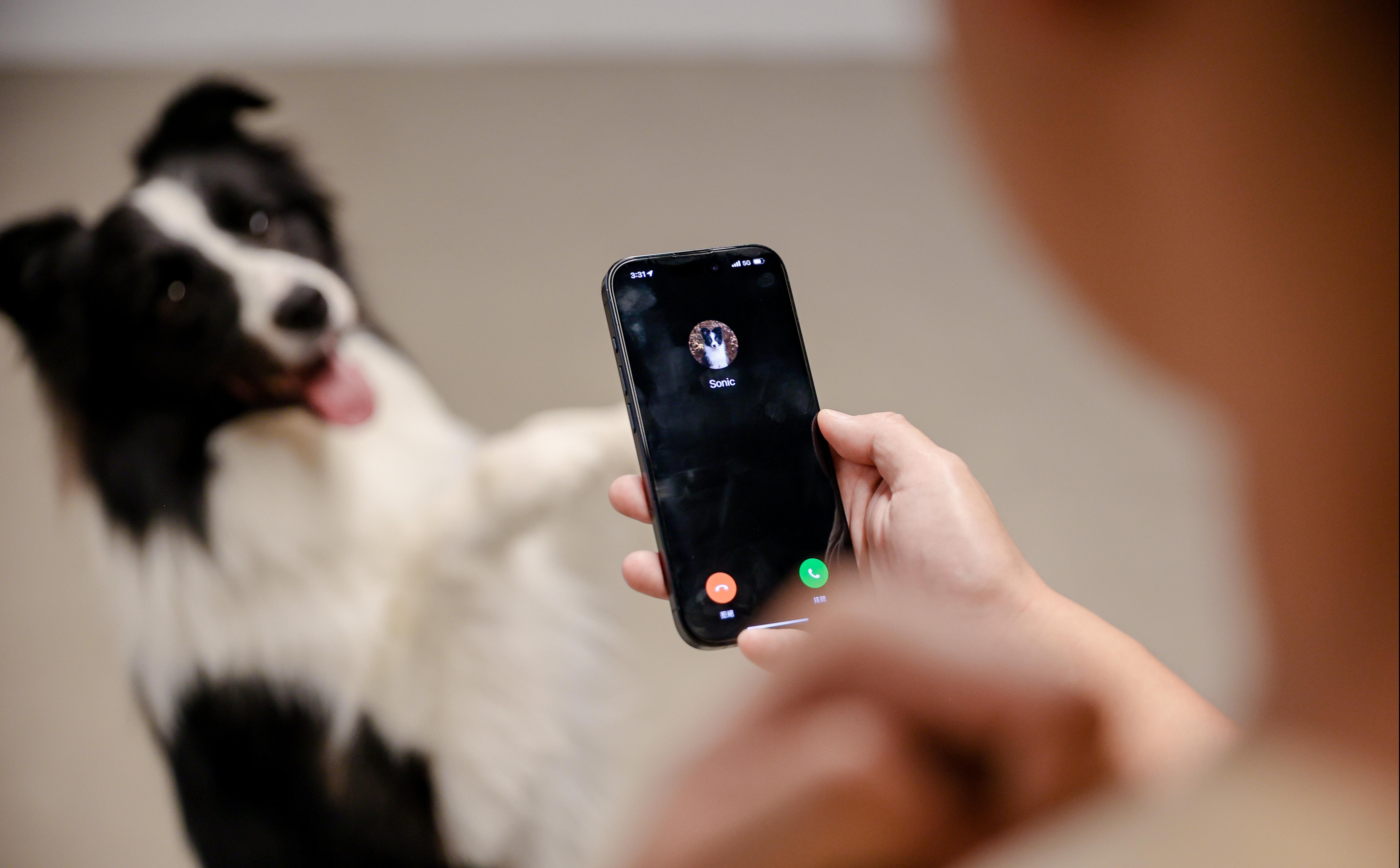 Sonic亦可透過動作打電話給主人。