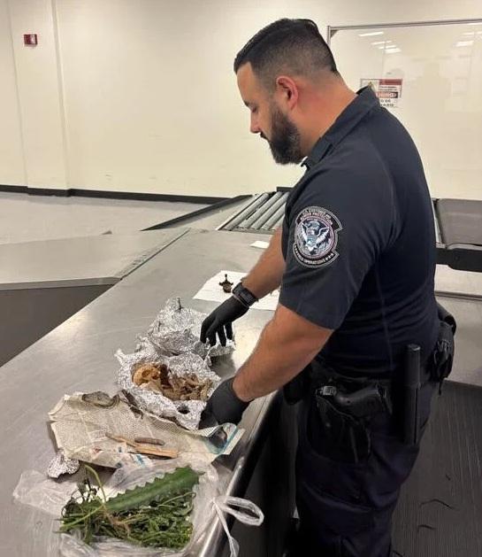 海關人員檢查涉事旅客的行李,發現疑似人類骨頭,被錫紙包住。(互聯網)