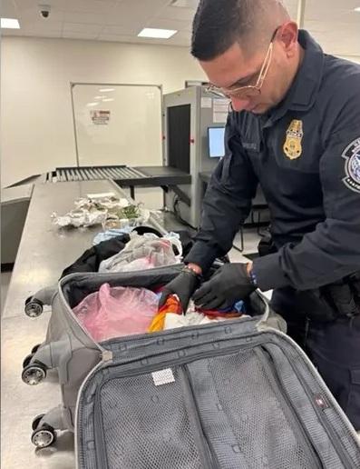 海關人員檢查涉事旅客的行李。(互聯網)