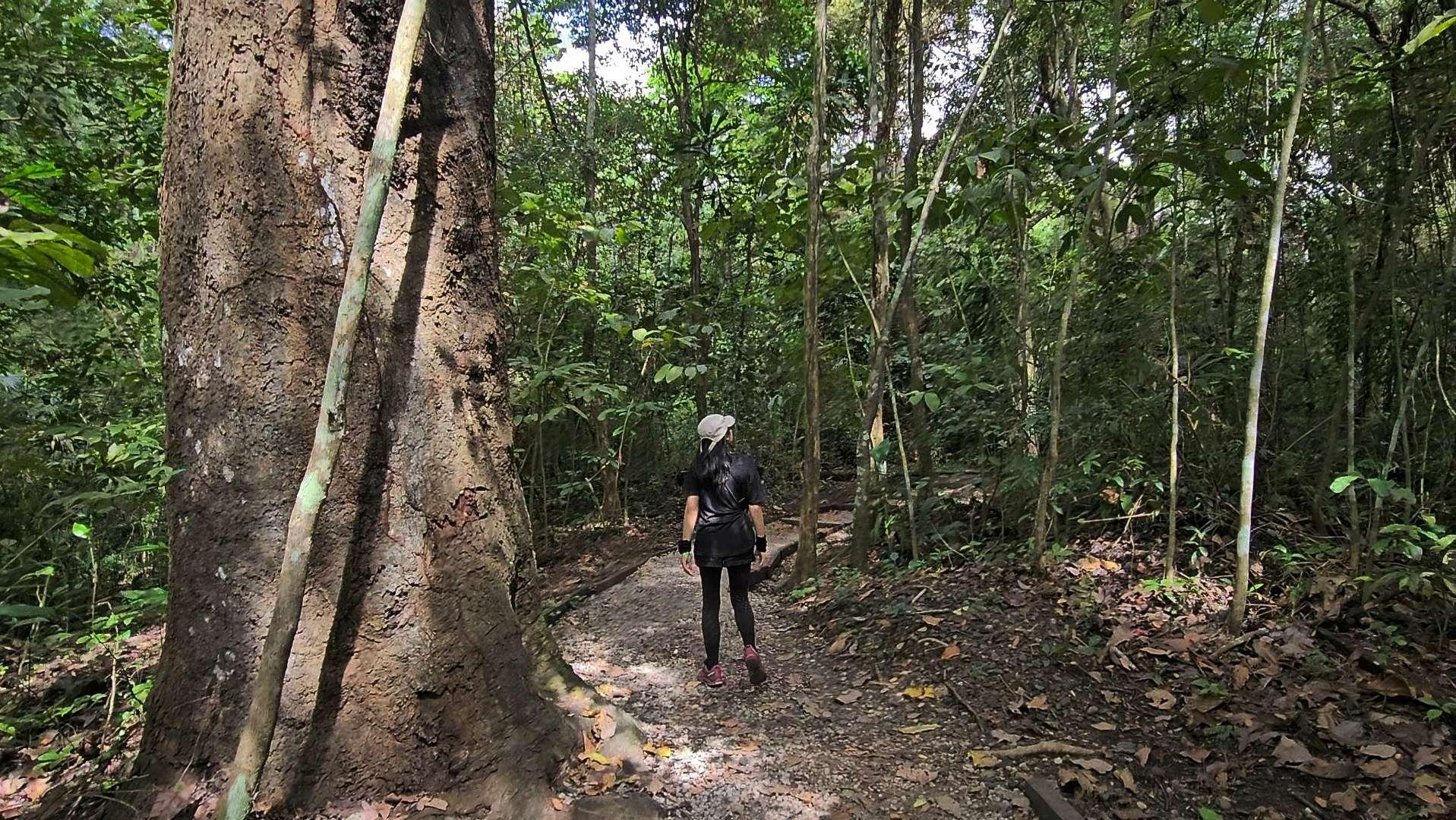 在這個森林,讓人類享受與動物最原始的相逢。